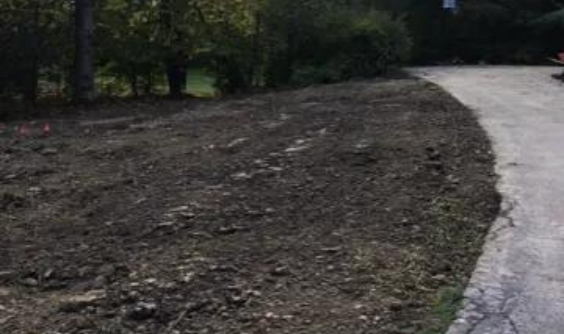 Curved concrete path beside a bare dirt area and trees in a wooded park