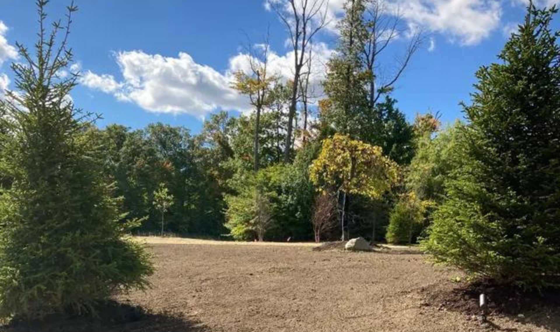 Sunny dirt clearing bordered by evergreen trees and autumn foliage under a blue sky with clouds