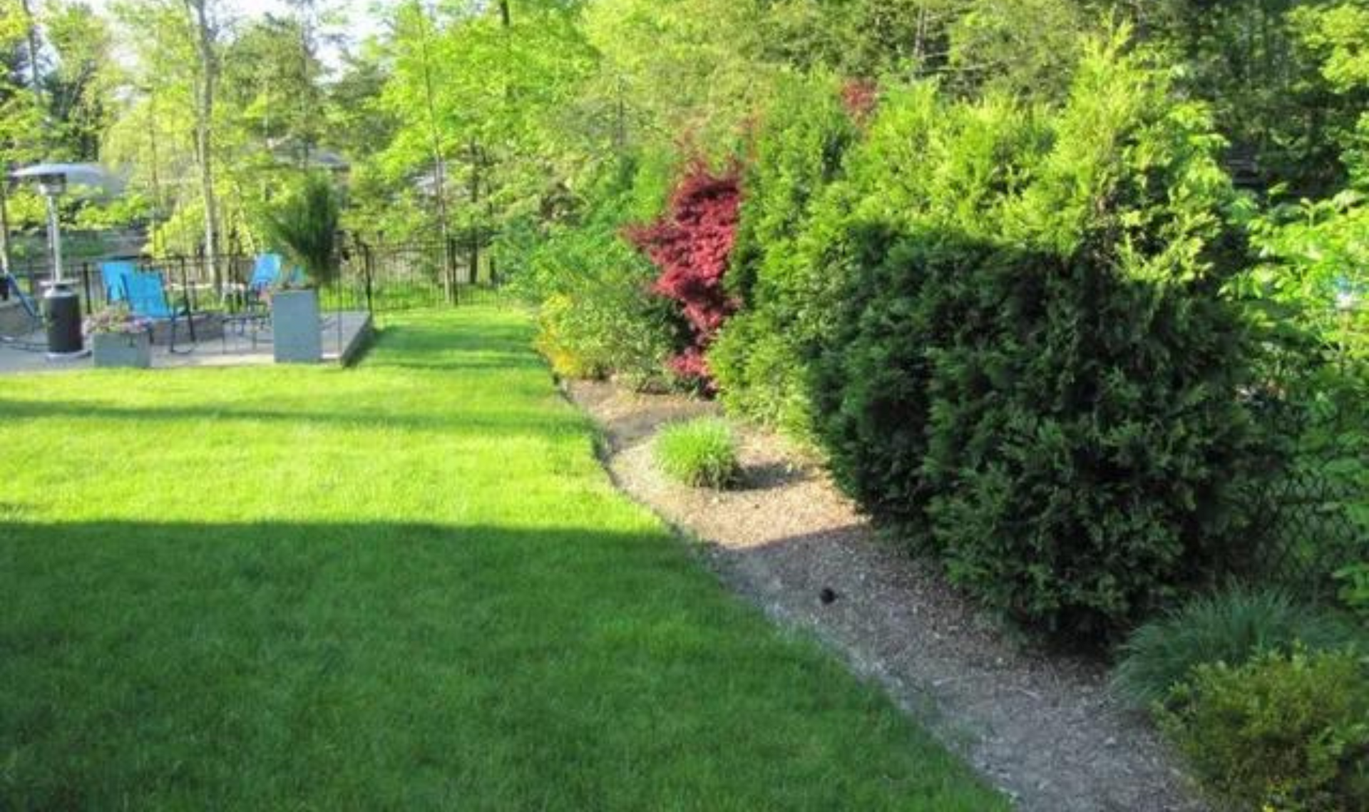 Lush garden with green lawn, shrubs, and a gravel path in bright sunlight