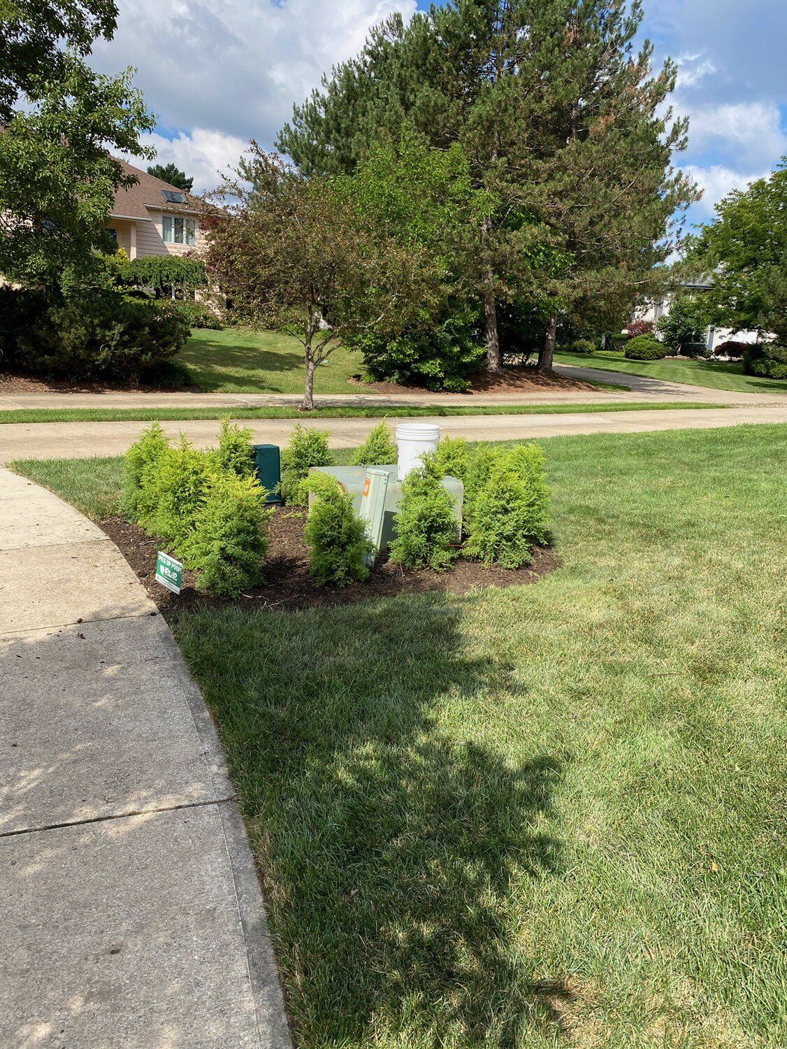 Curved concrete path beside a small flower bed and lawn in a sunny residential yard