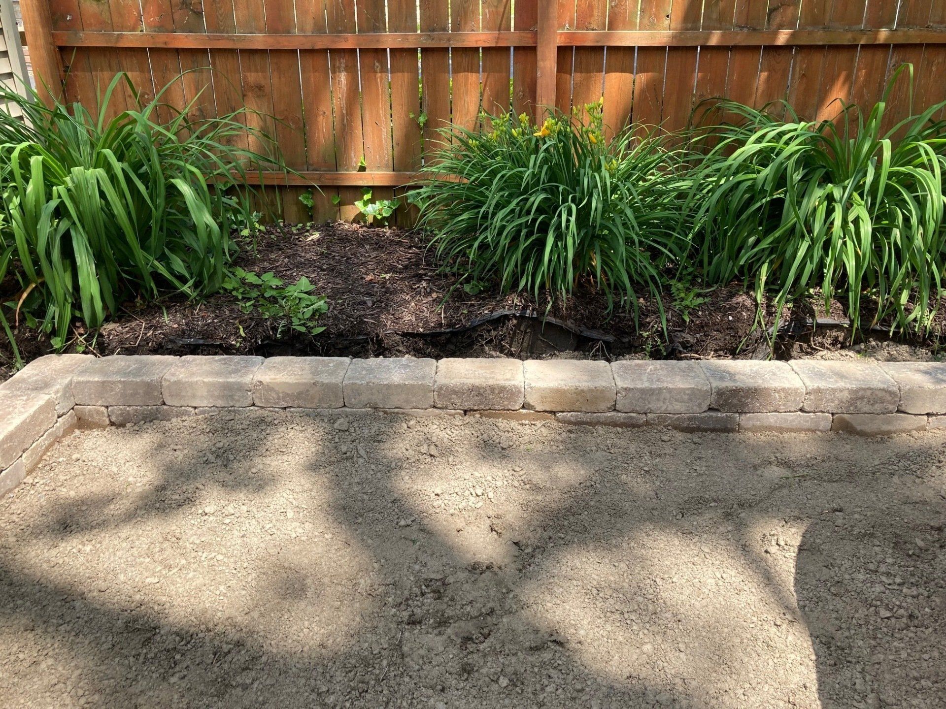 Garden bed with green plants against a wooden fence, bordered by concrete blocks and a sunlit patio.