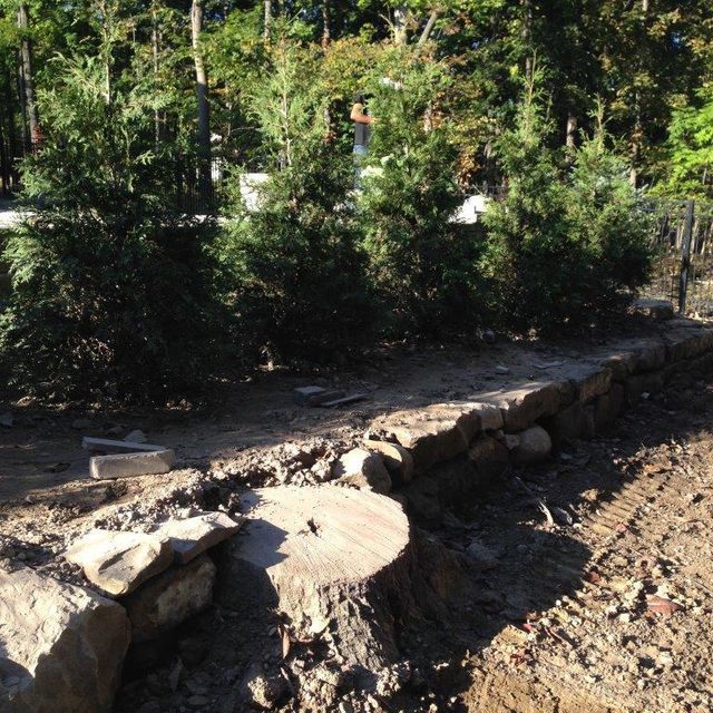 Stone border path beside a dirt trail in a wooded area, with trees and shrubs in the background