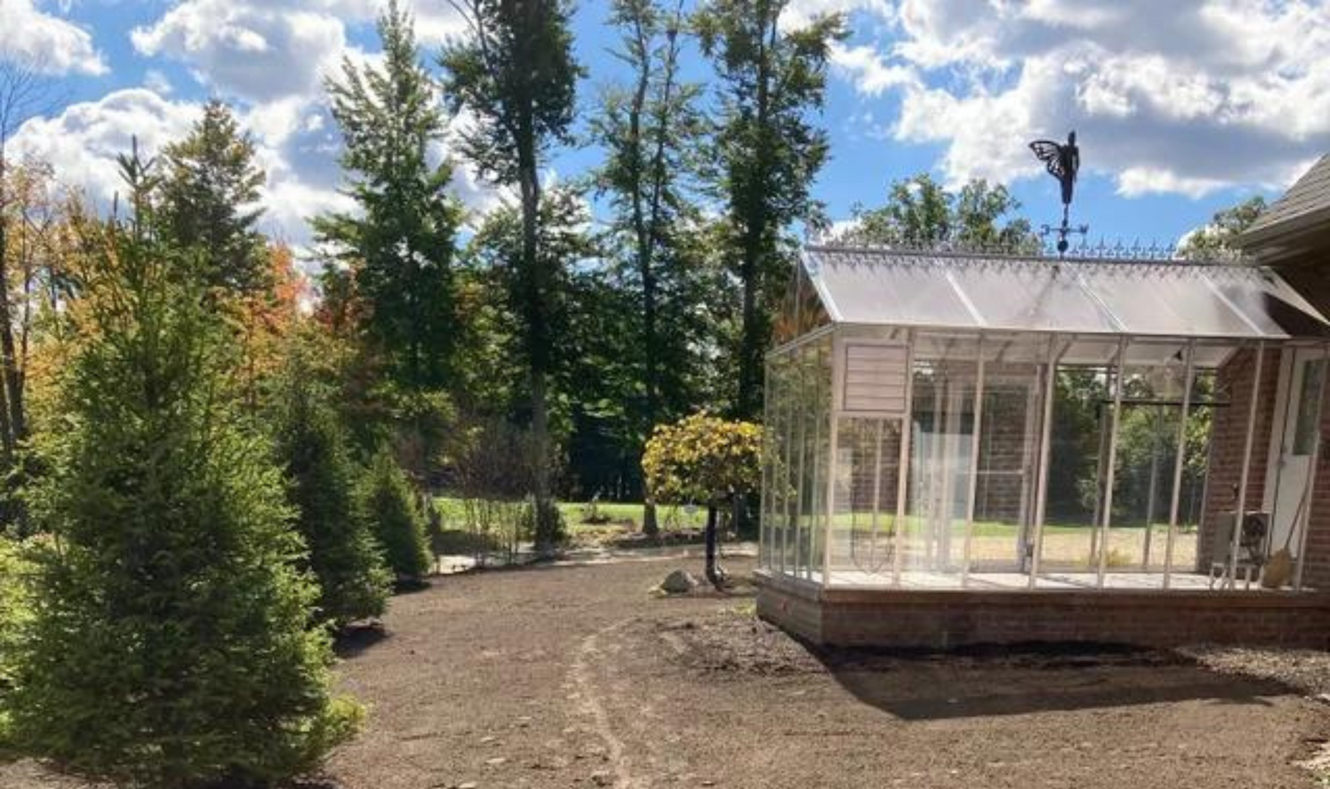 Small glass greenhouse in a sunny garden with pine trees and a dirt path.