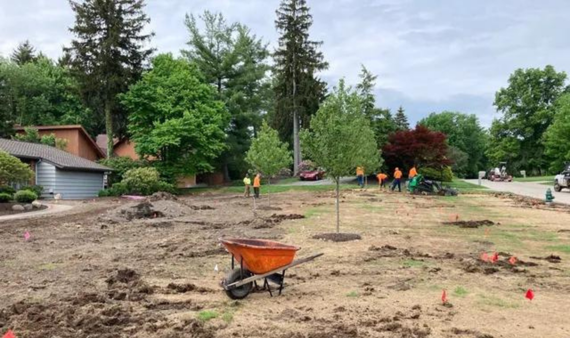 Gardening worksite with exposed soil, orange wheelbarrow, and workers near trees and houses