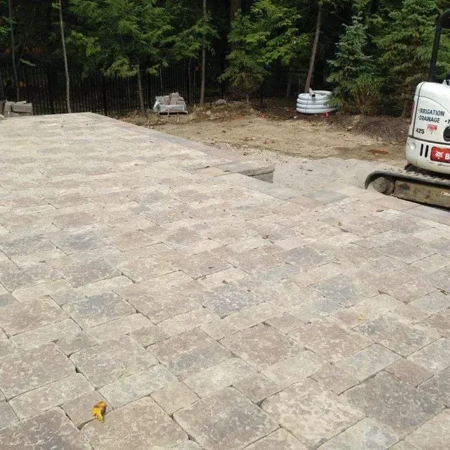 Paved driveway beside a wooded area, with a white van parked at the edge