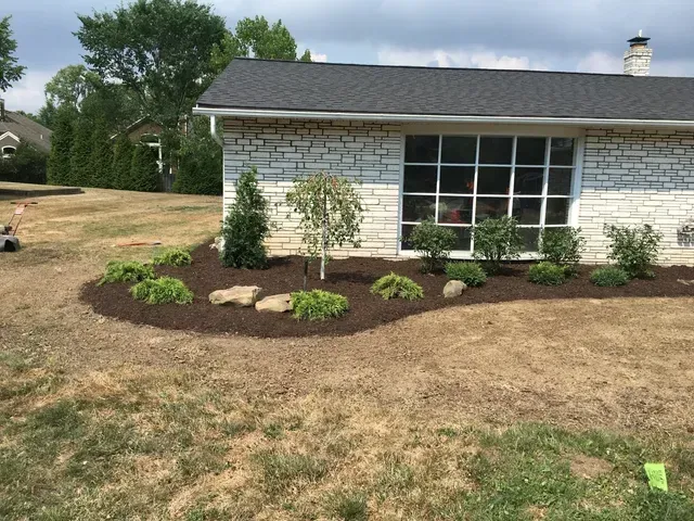 House with newly mulched front flower bed and small plants beneath a large window