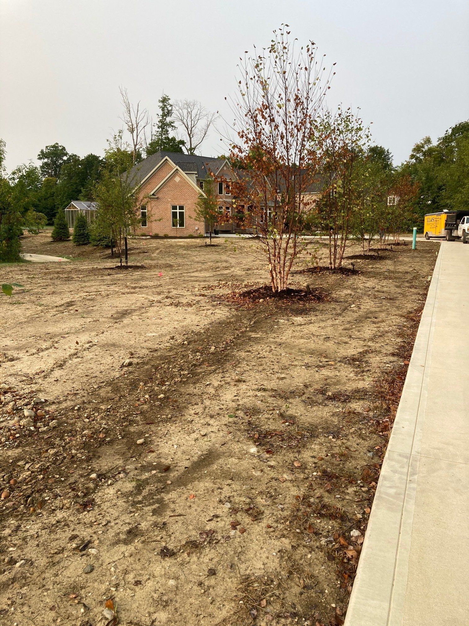 Newly landscaped yard with young trees, a small brick house, and a paved walkway on the right.