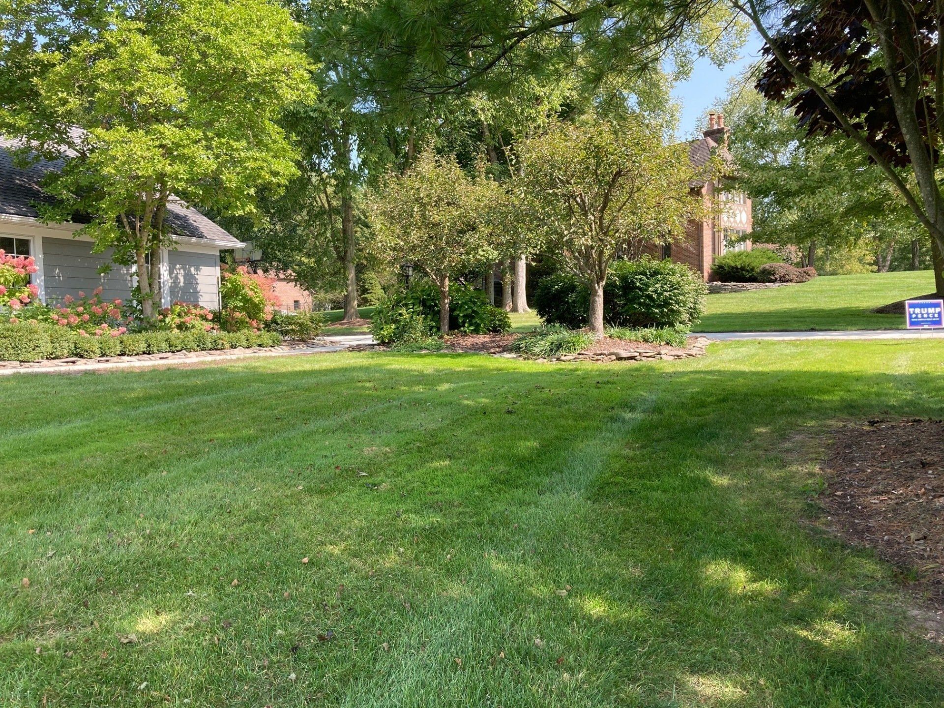 Tree-lined suburban lawn with flower beds and houses in the background