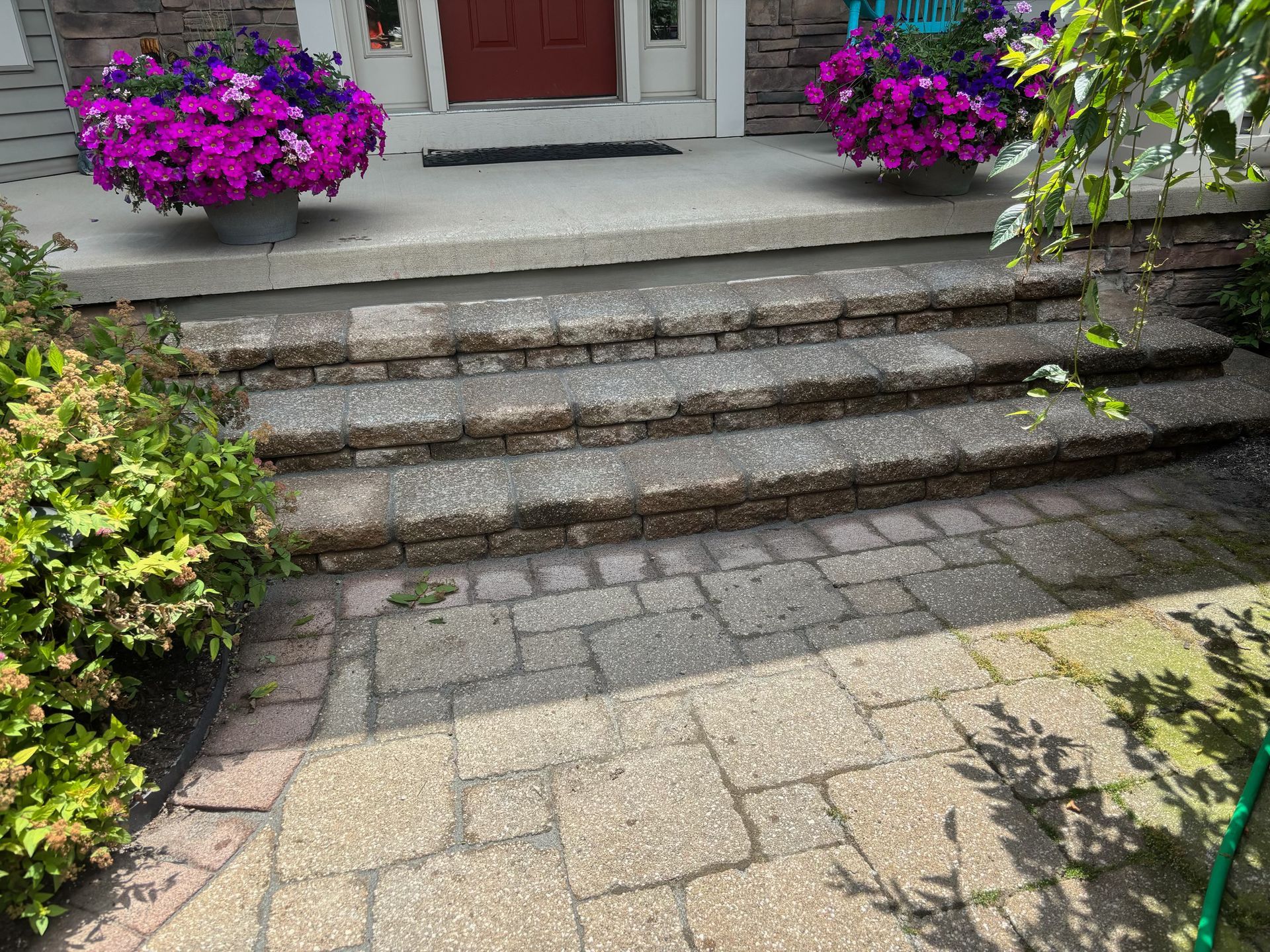 Front steps to a house with purple flowers and a potted plant beside the doorway