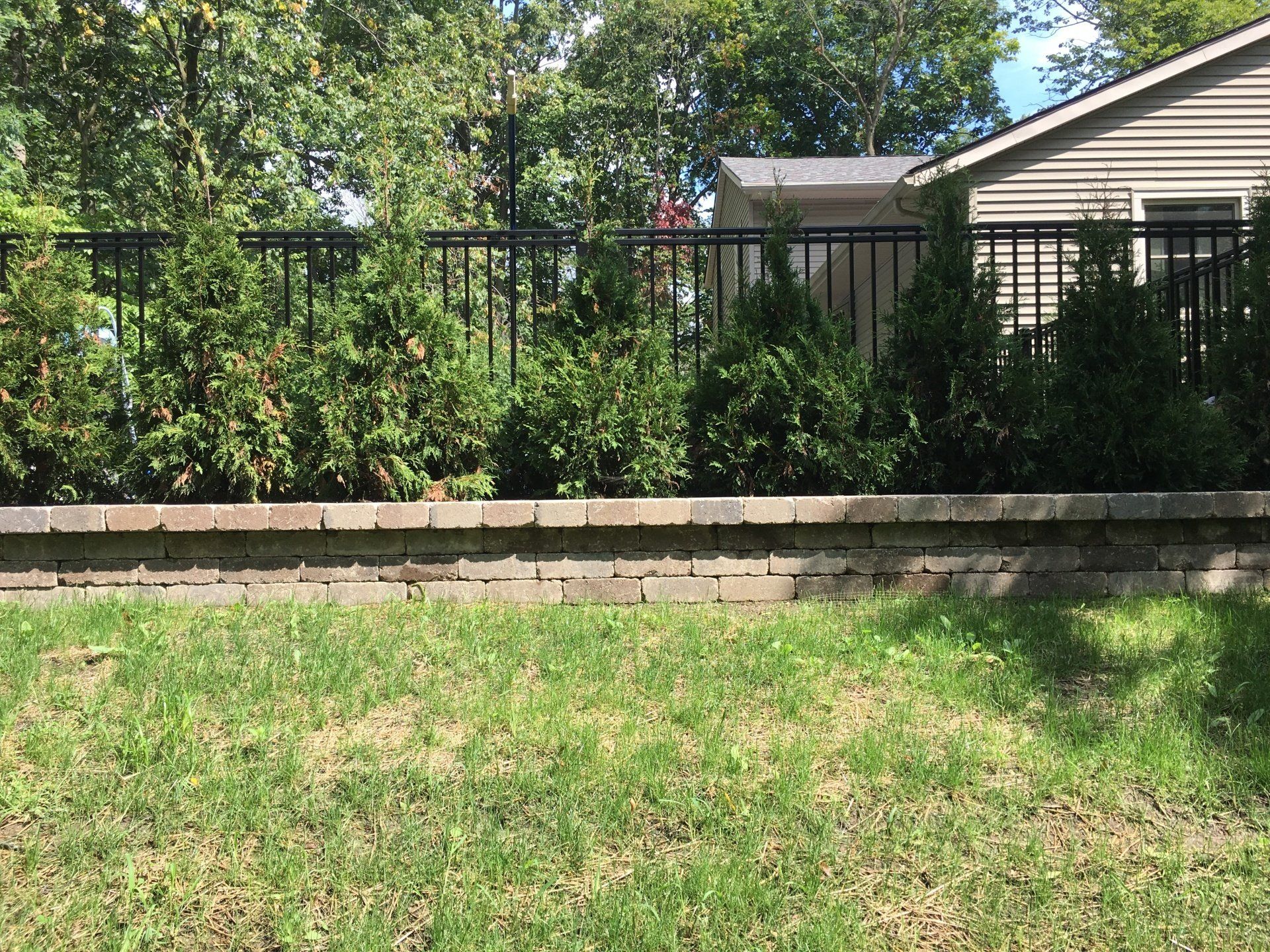 Backyard with green lawn, stone retaining wall, black fence, and trees in sunlight