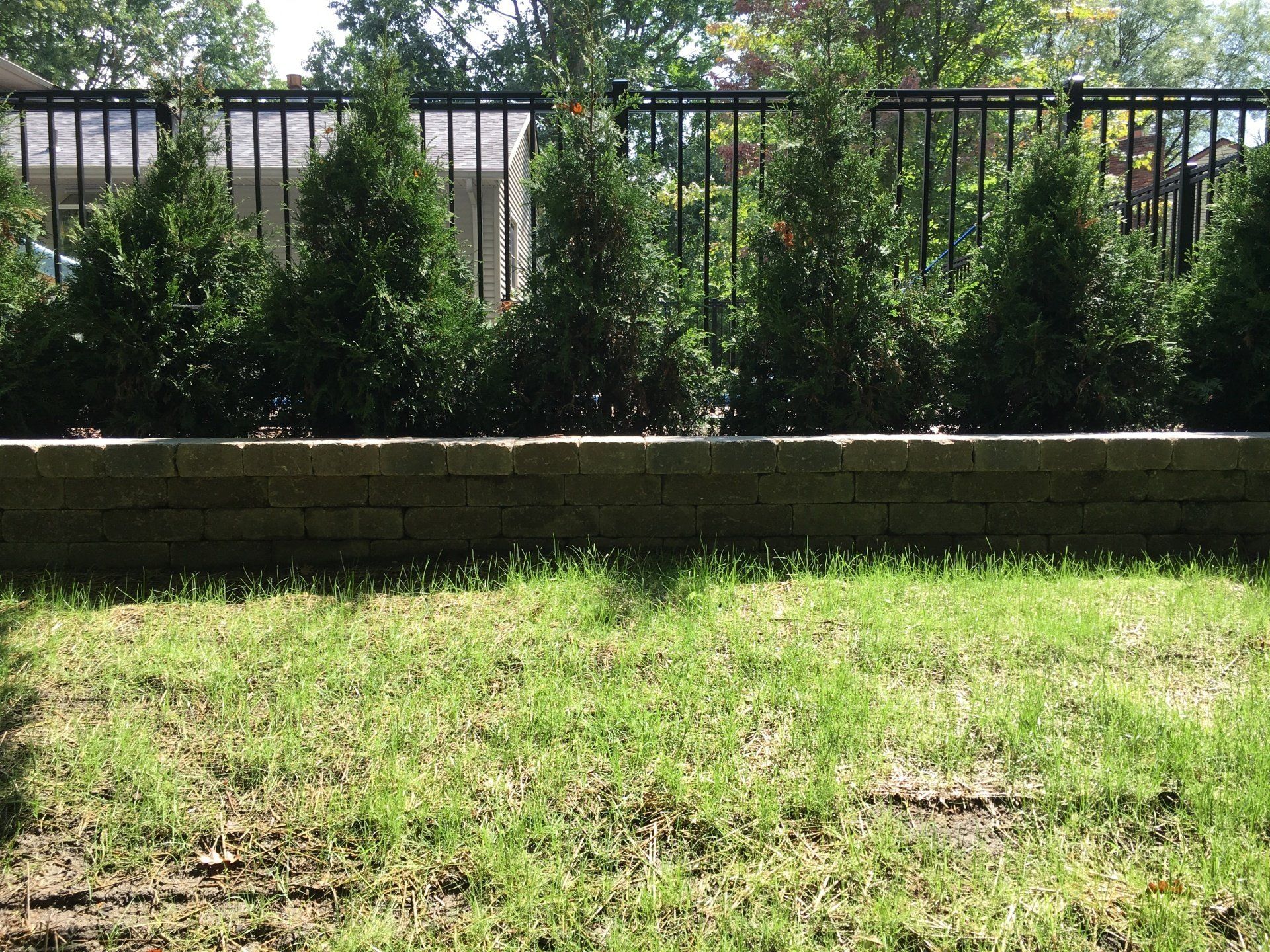 Green lawn in front of a low stone wall, tall shrubs, and a black metal fence in bright sunlight.