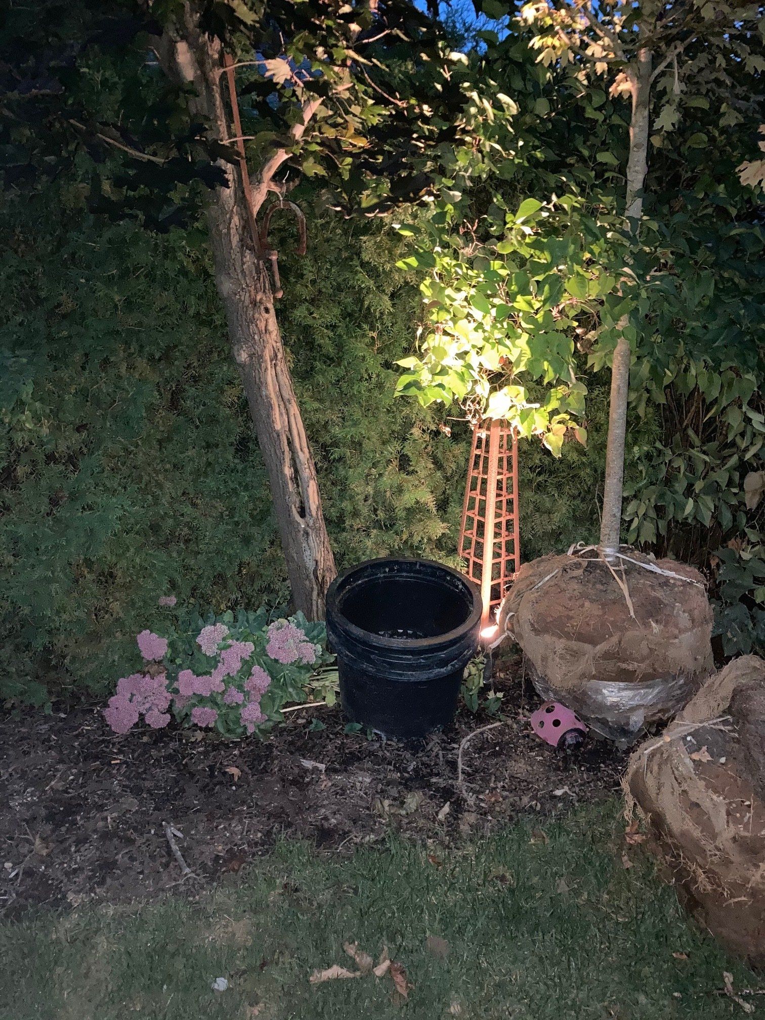 Small garden at night with a lit trellis, potted plant, pink flowers, and large rocks beside a lawn