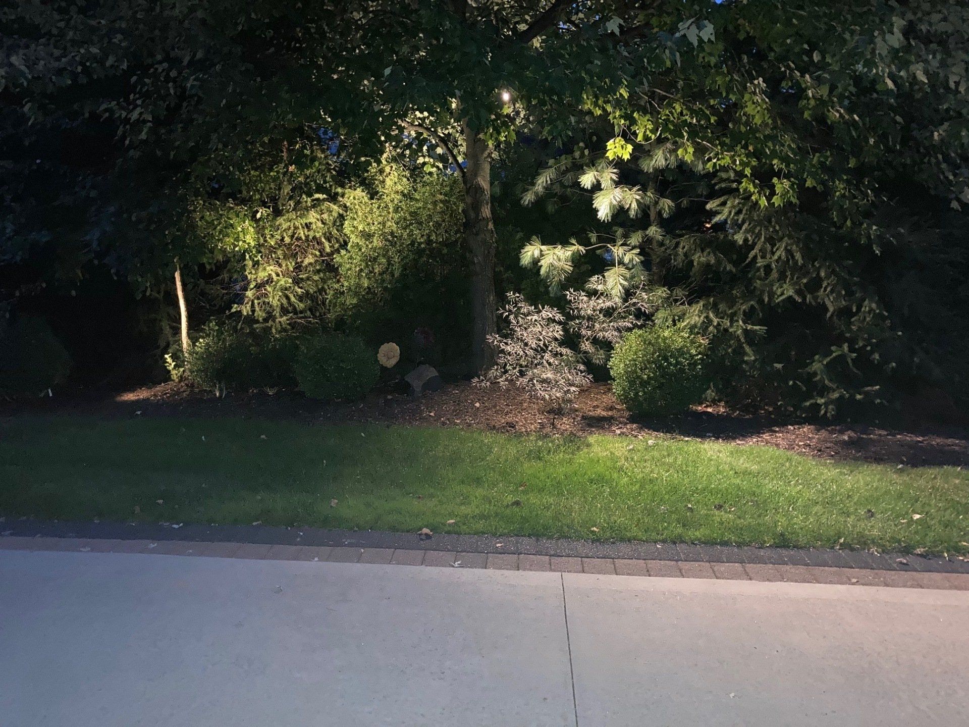 Quiet suburban roadside with trees and bushes lit by streetlights at night