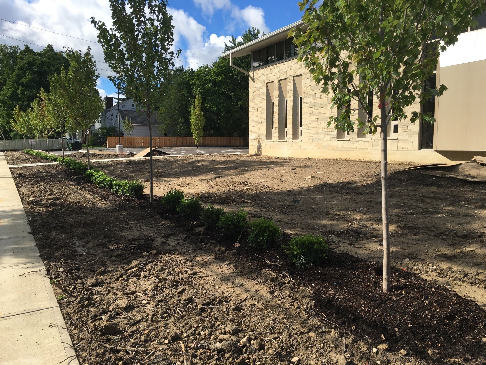 Newly planted trees and mulch bed beside a sidewalk and tan building under a blue sky