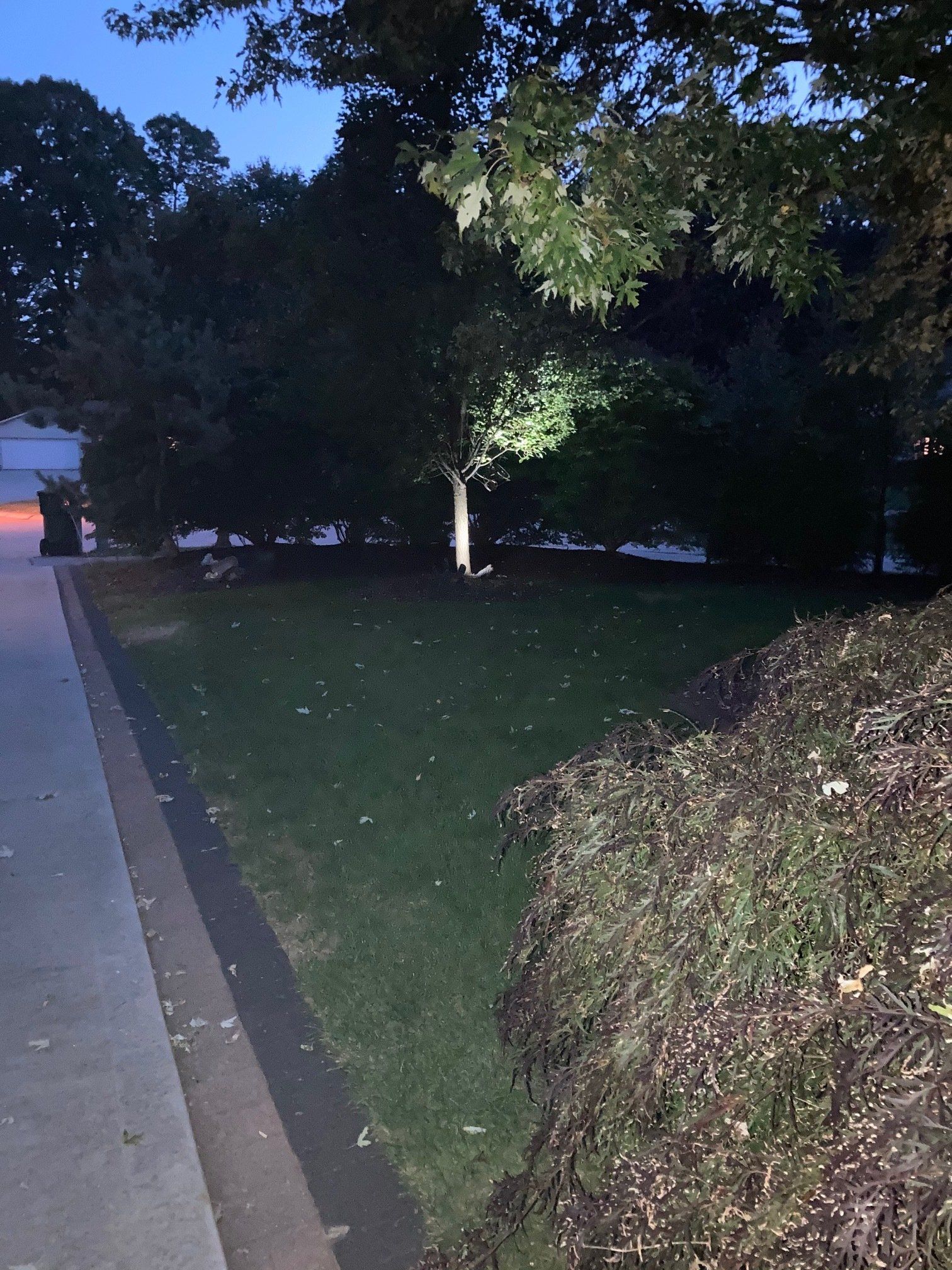 Dim park path beside dark trees and lawn, lit by a bright light at night.