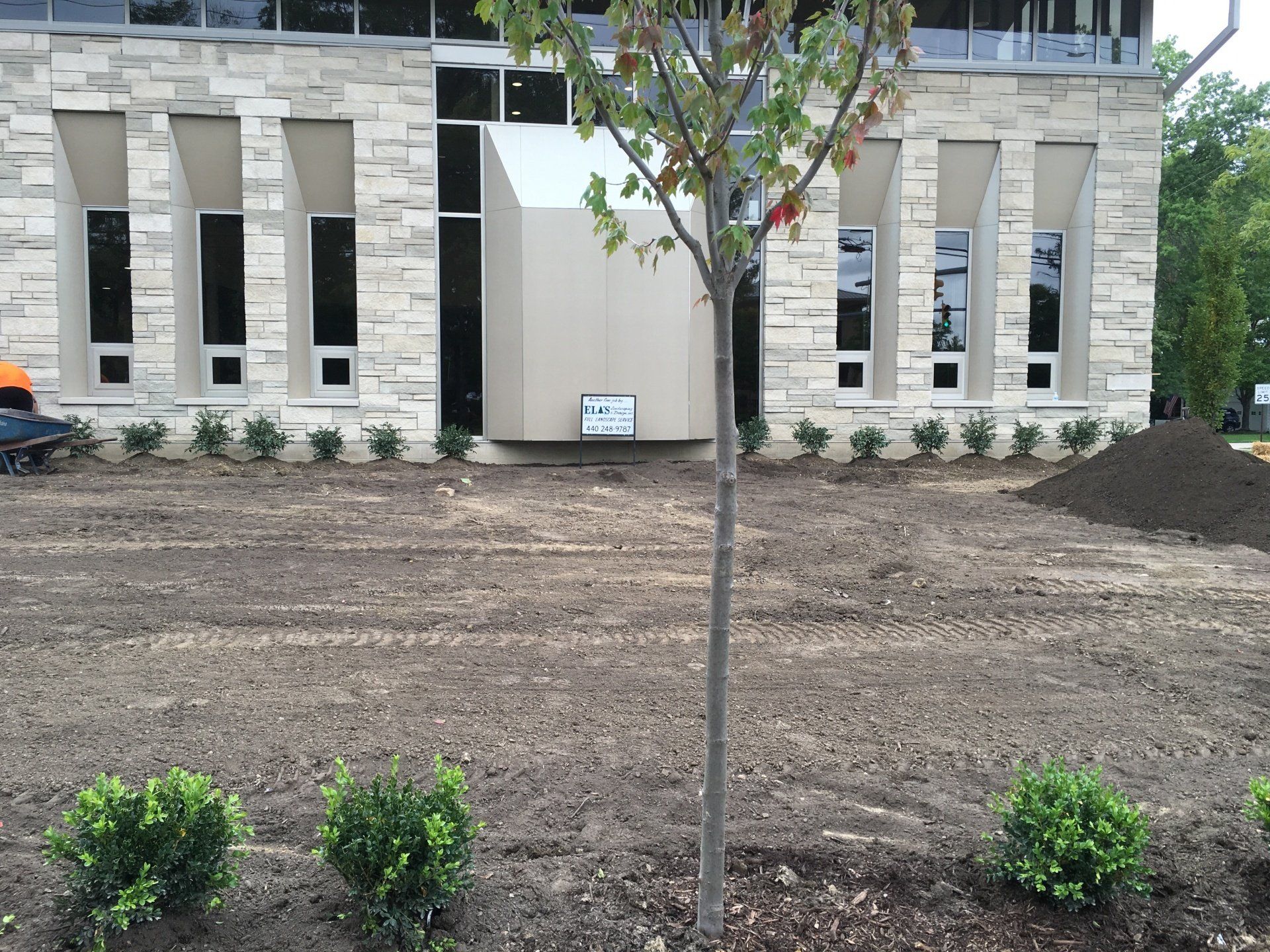 Landscaped front yard with a young tree, shrubs, and a modern stone building in the background