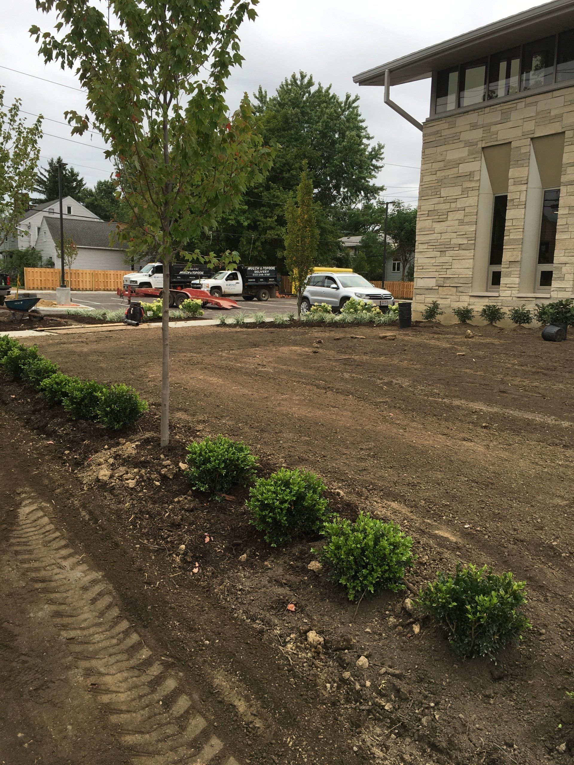 Landscaped garden bed with shrubs and a tree beside a stone building, with parked cars in the background
