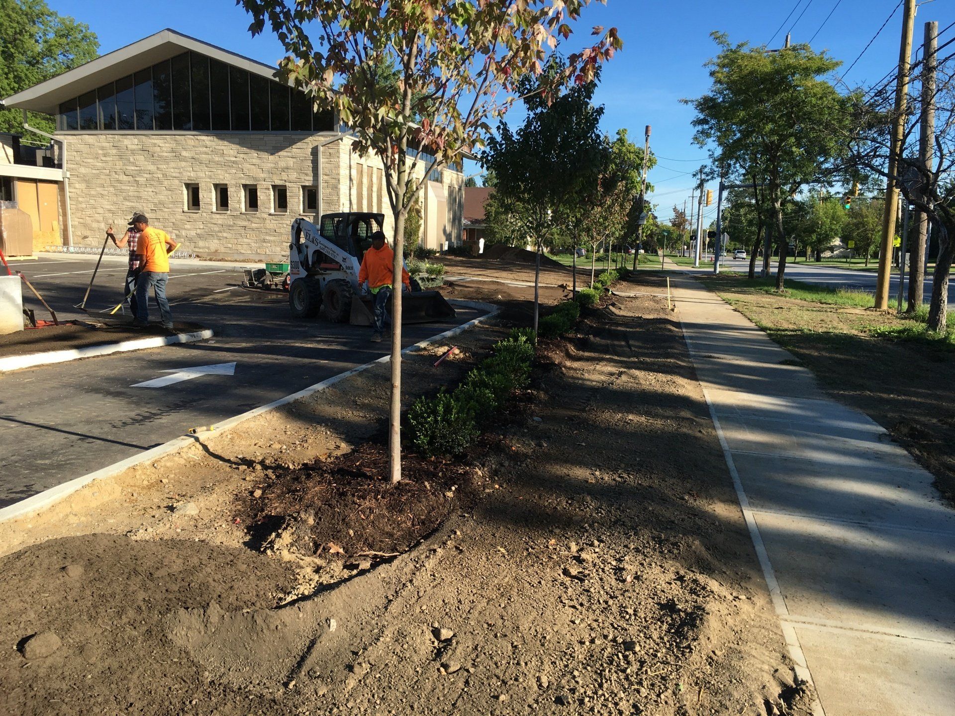 Roadwork on a tree-lined sidewalk beside a residential street, with workers and construction equipment.
