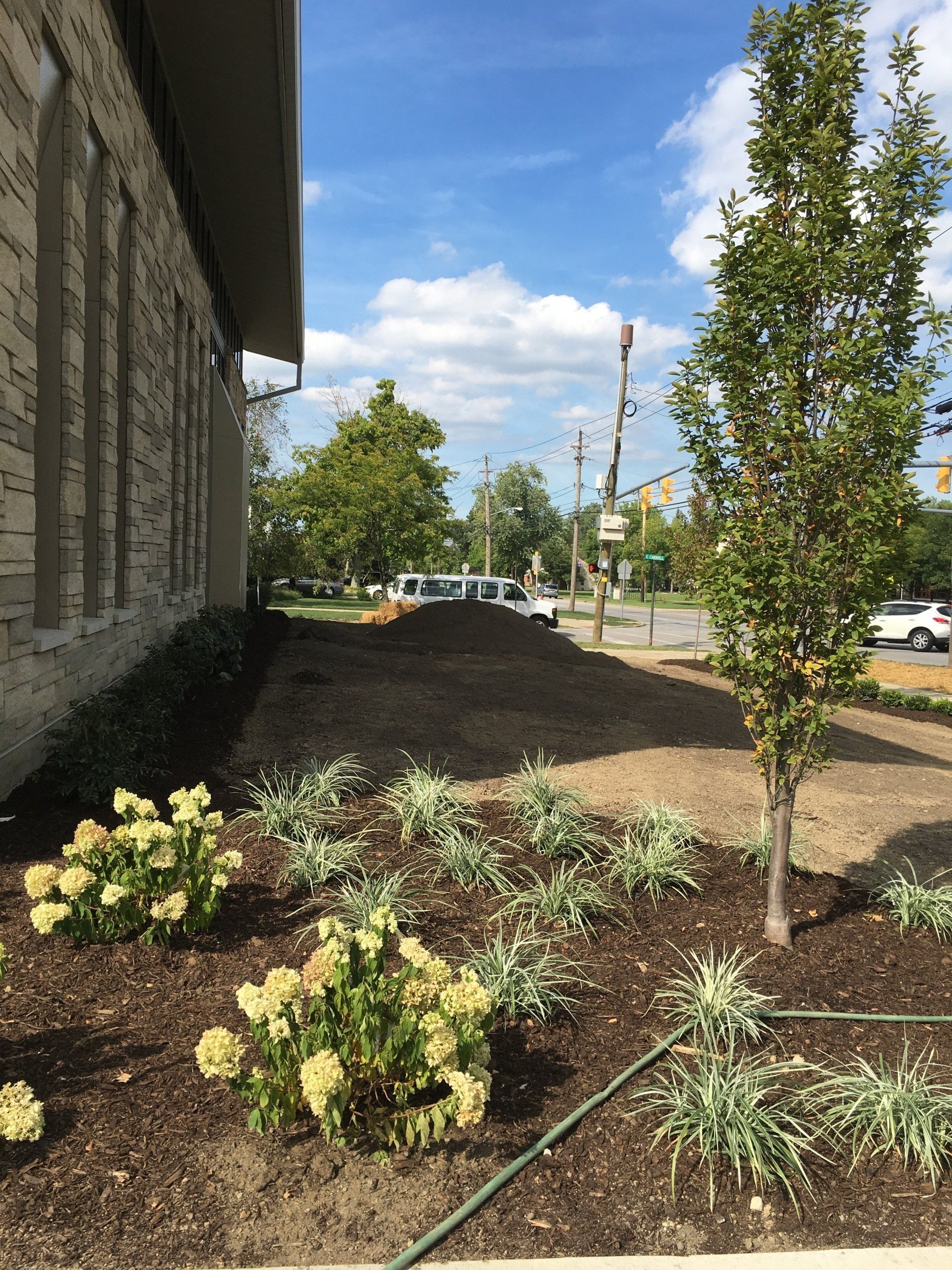 Landscaped garden bed beside a stone building, with young trees and shrubs under a blue sky.