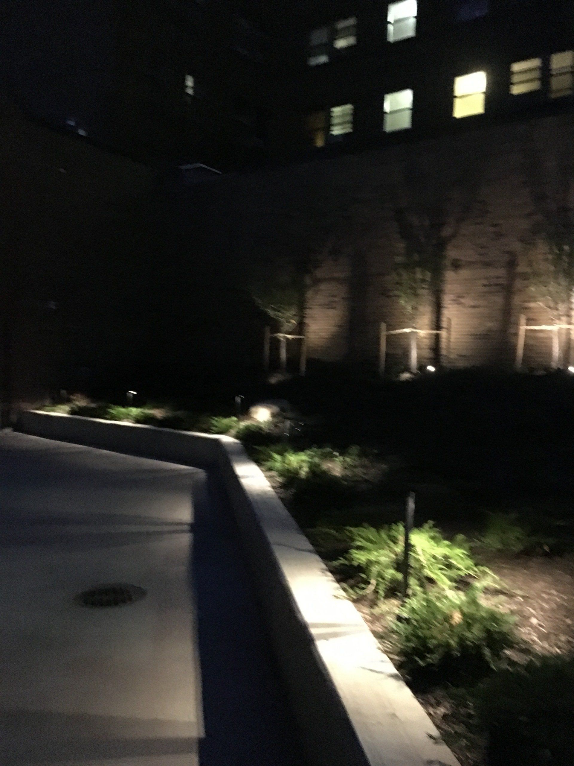Nighttime walkway beside a lit building, with low garden lights and shrubs along the path.