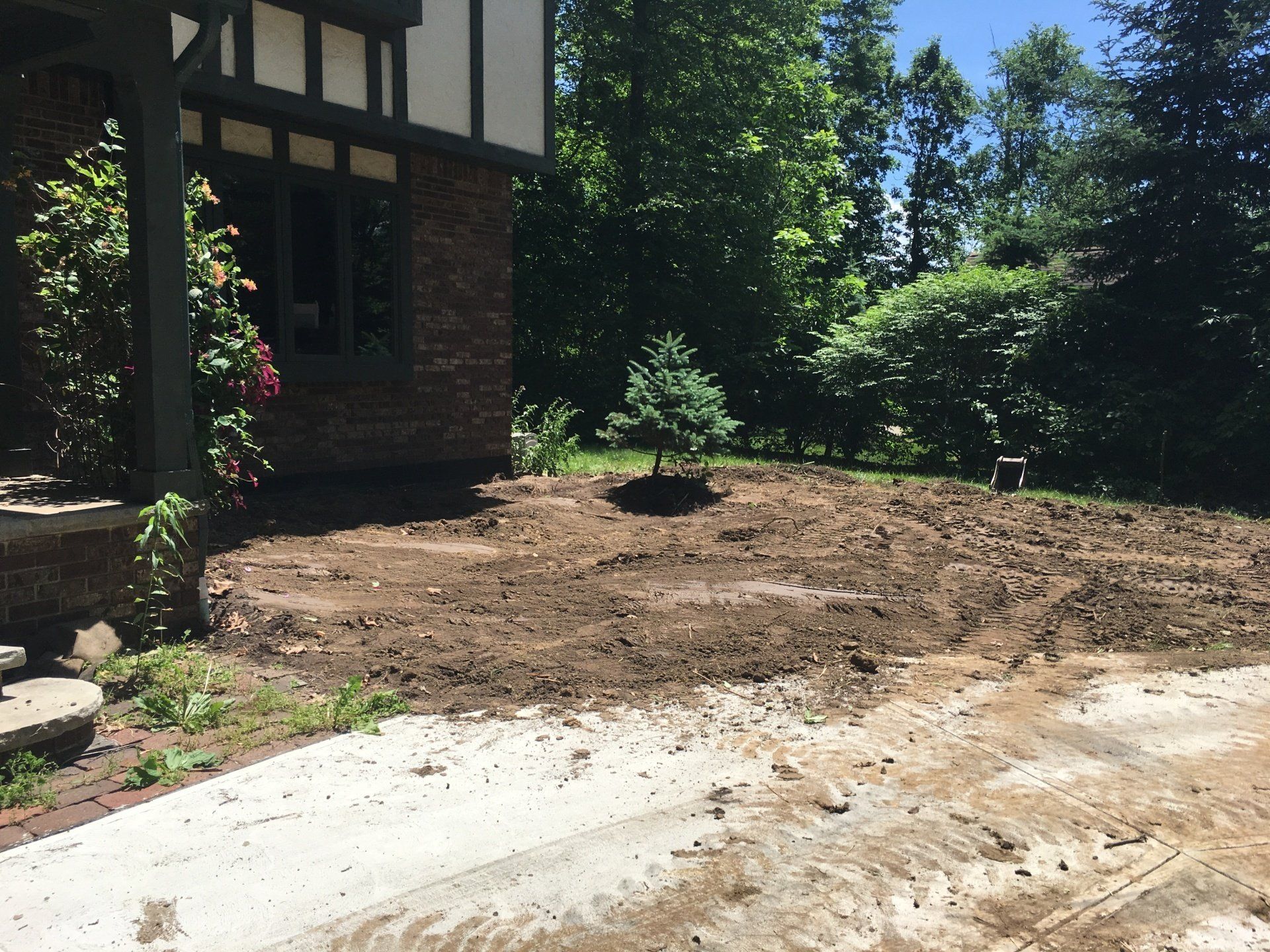 Front yard with freshly cleared soil beside a brick house and concrete walkway, surrounded by trees and greenery