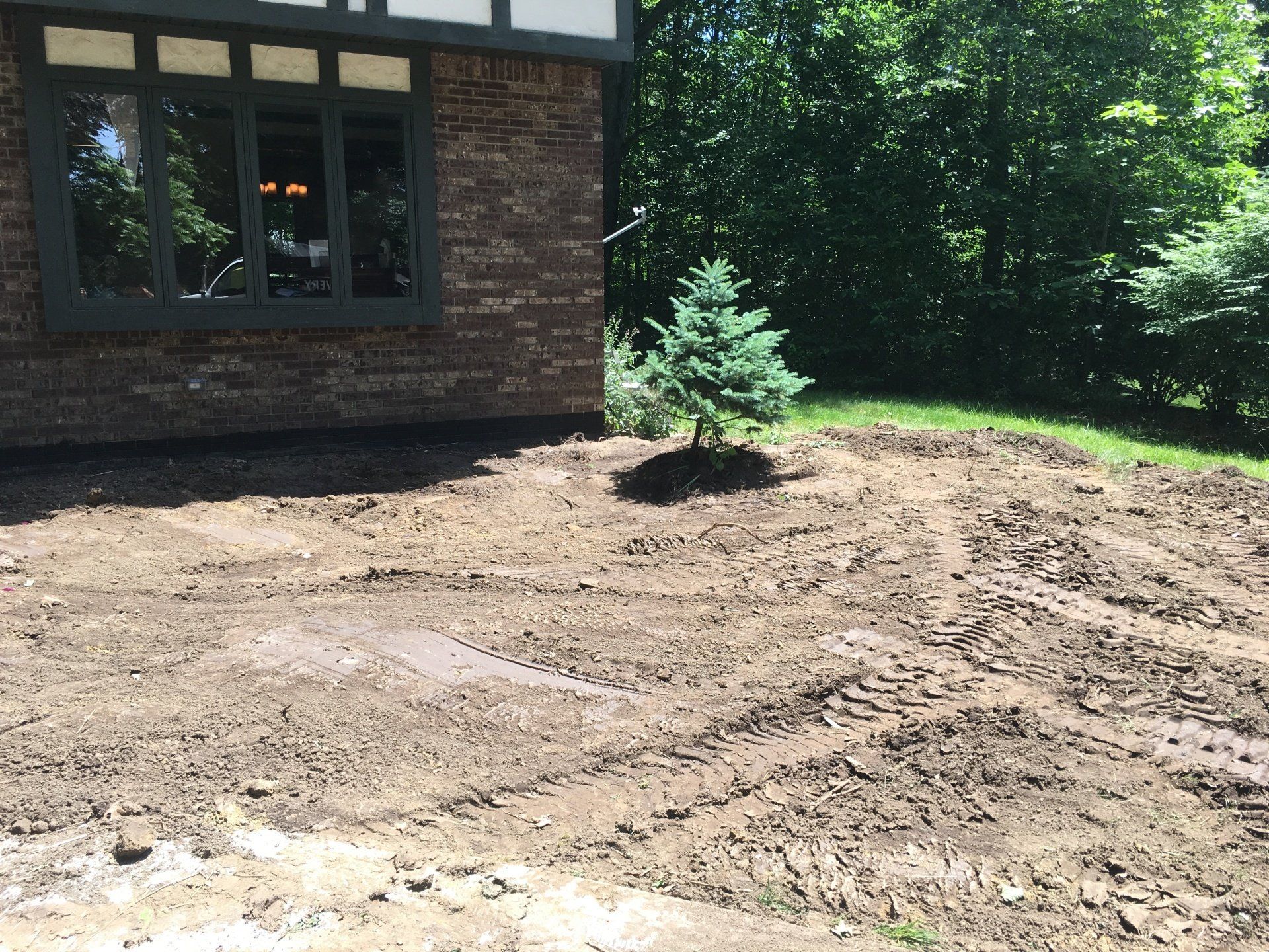 Freshly graded dirt yard beside a brick house, with a small sapling near the center.