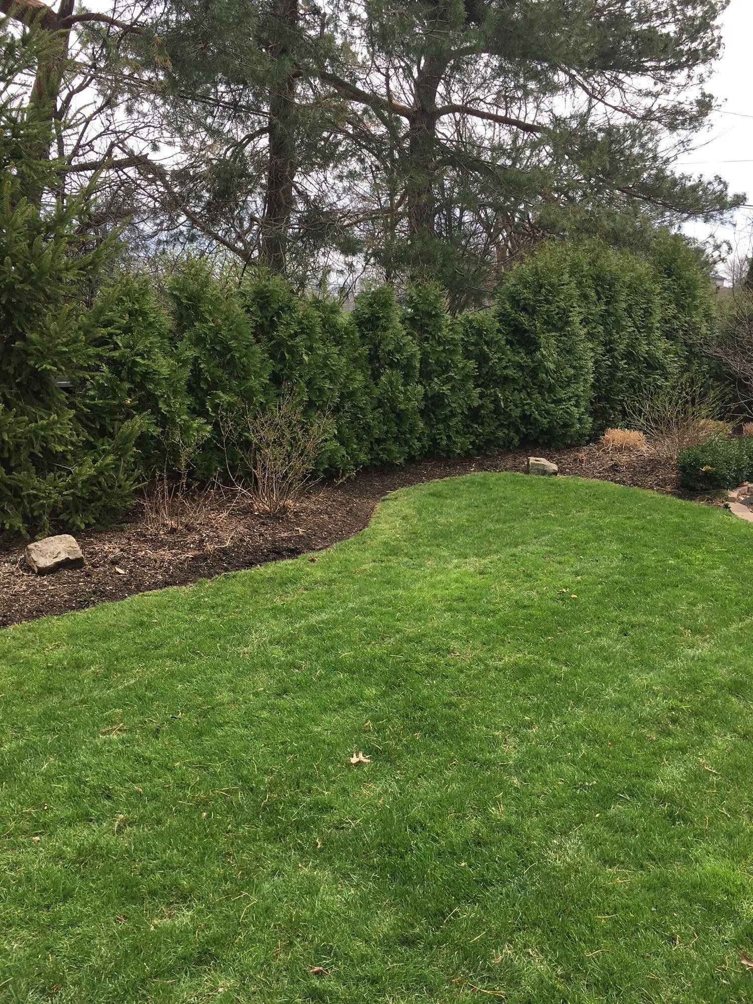Landscaping Company
