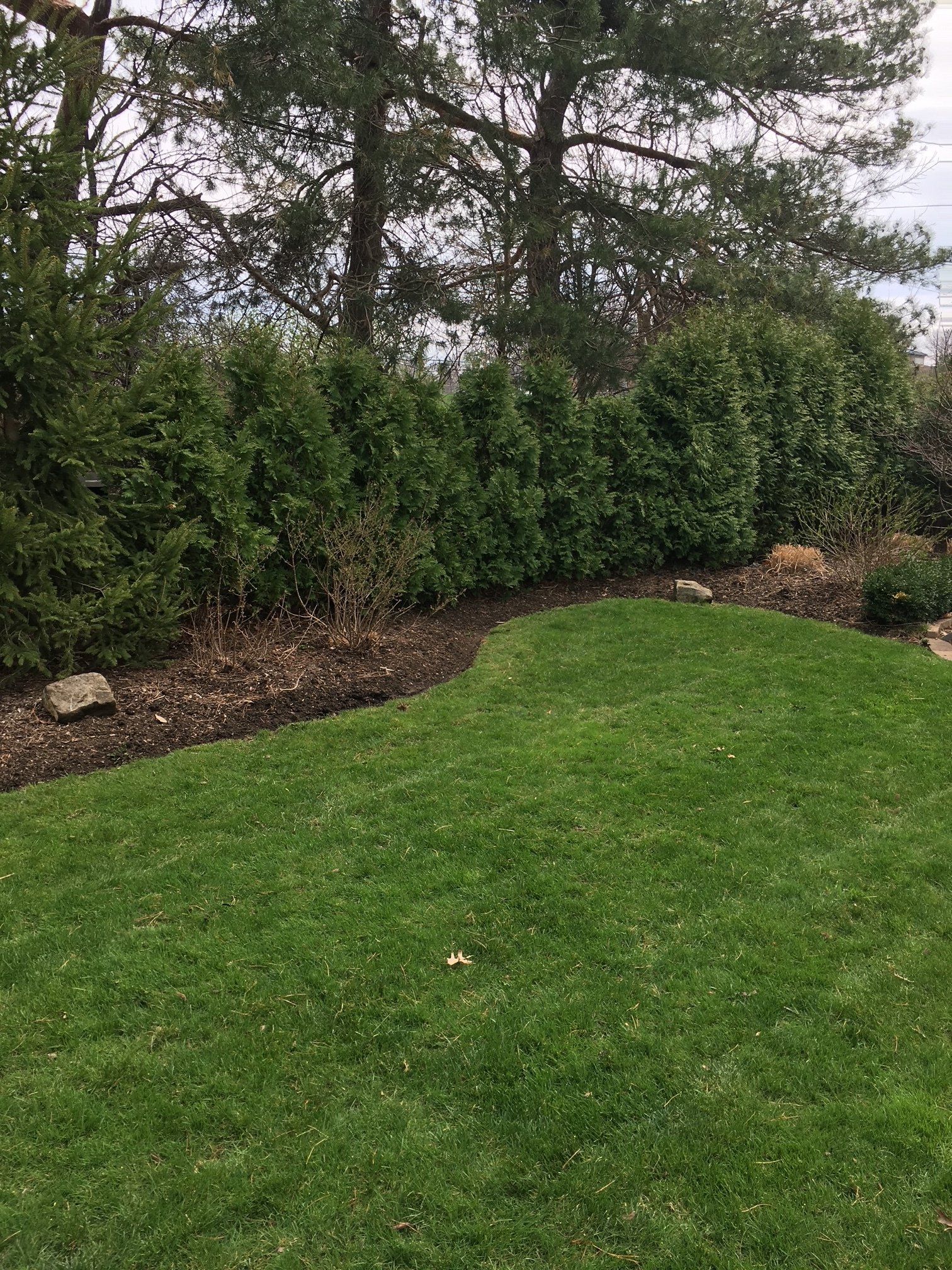 Landscaping Company
