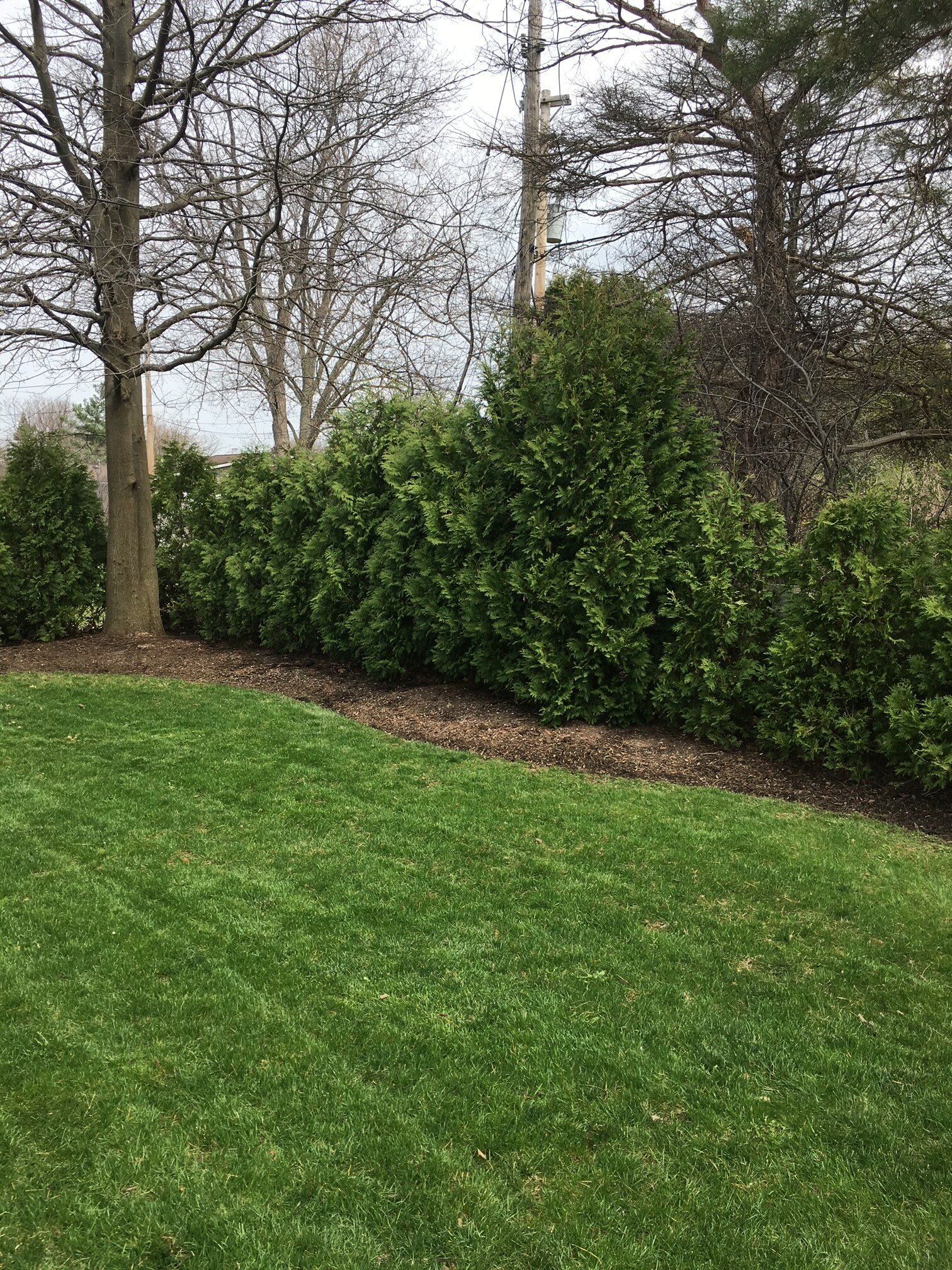 Landscaping Company