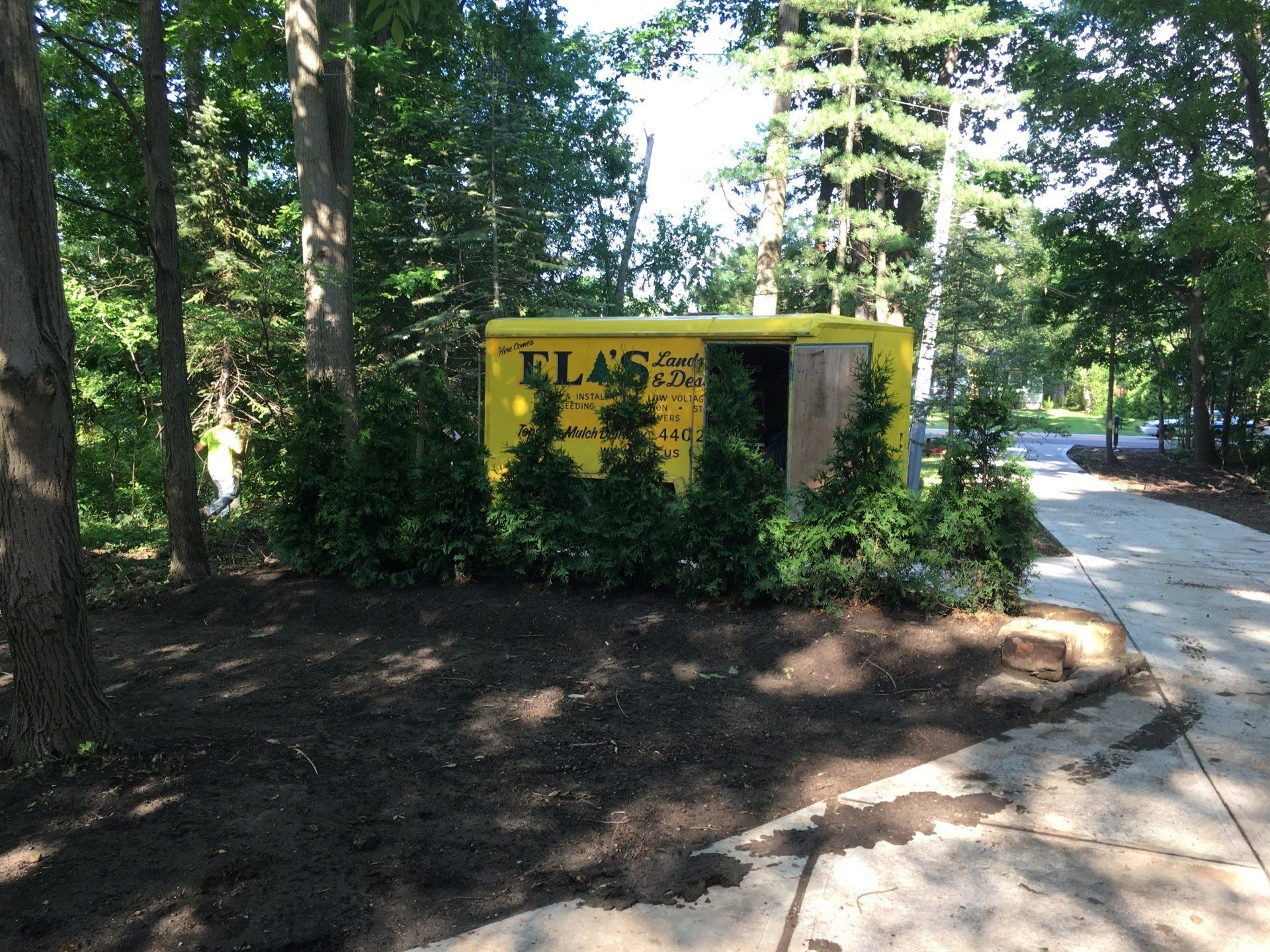 Yellow utility box with black graffiti beside a wooded sidewalk and road
