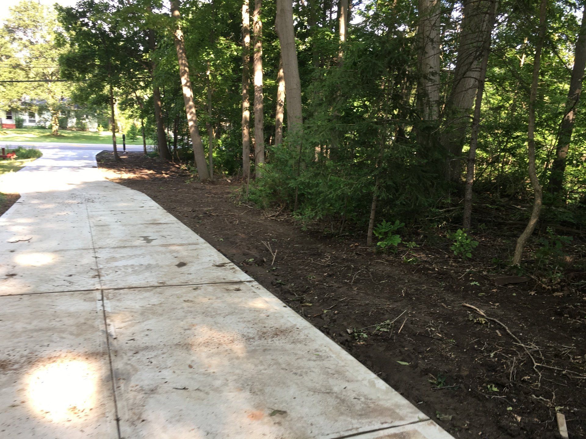 Concrete sidewalk beside a shaded wooded area with newly cleared soil and trees