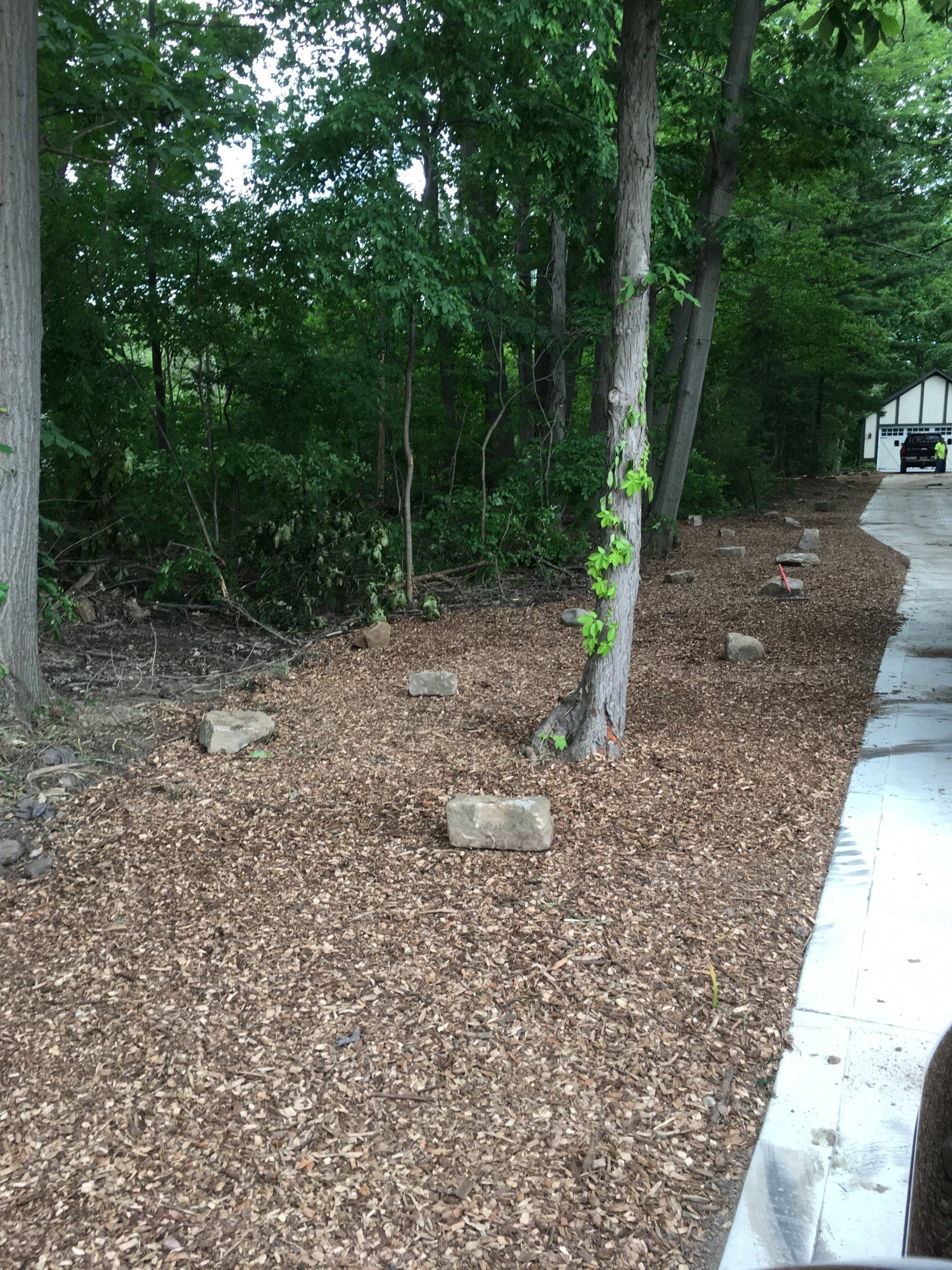 Leaf-covered ground beside trees and a sidewalk along a wooded edge