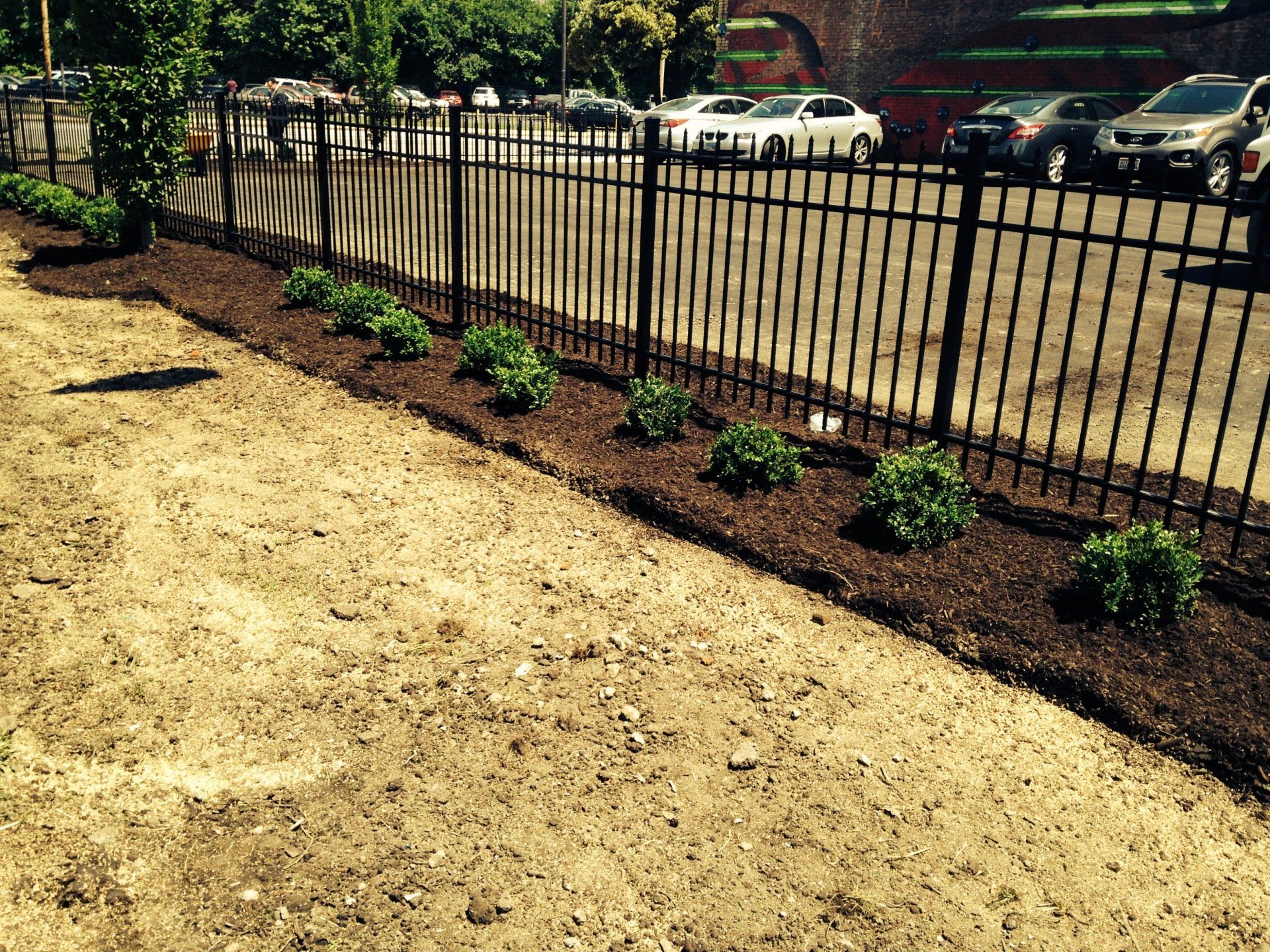 Small garden beds with young plants along a black metal fence beside a parking lot