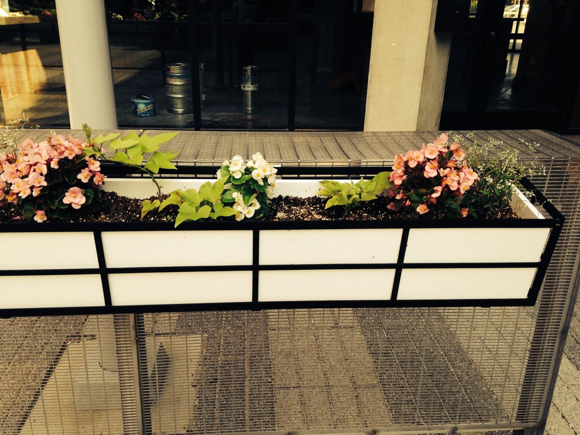 Flower boxes with pink, white, and yellow blooms on a brick patio in front of a window
