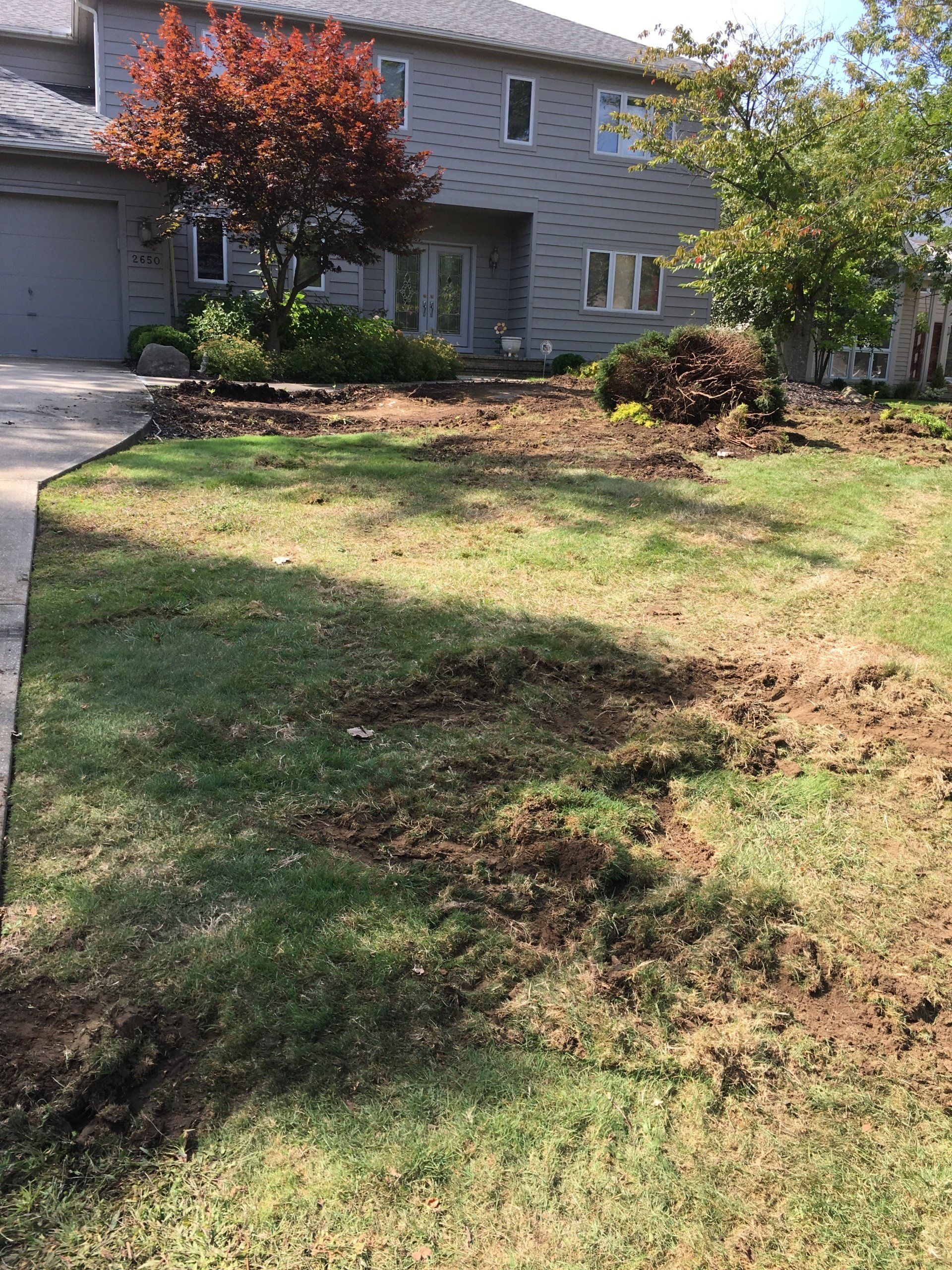 Front lawn with patchy grass and small trees in front of a gray two-story house