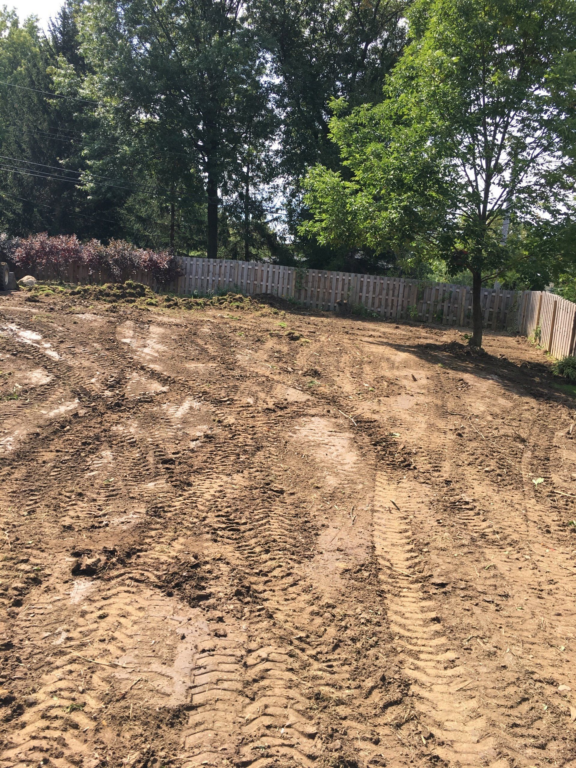 Freshly graded dirt lot with tire tracks, bordered by stone walls and leafy trees under bright sunlight