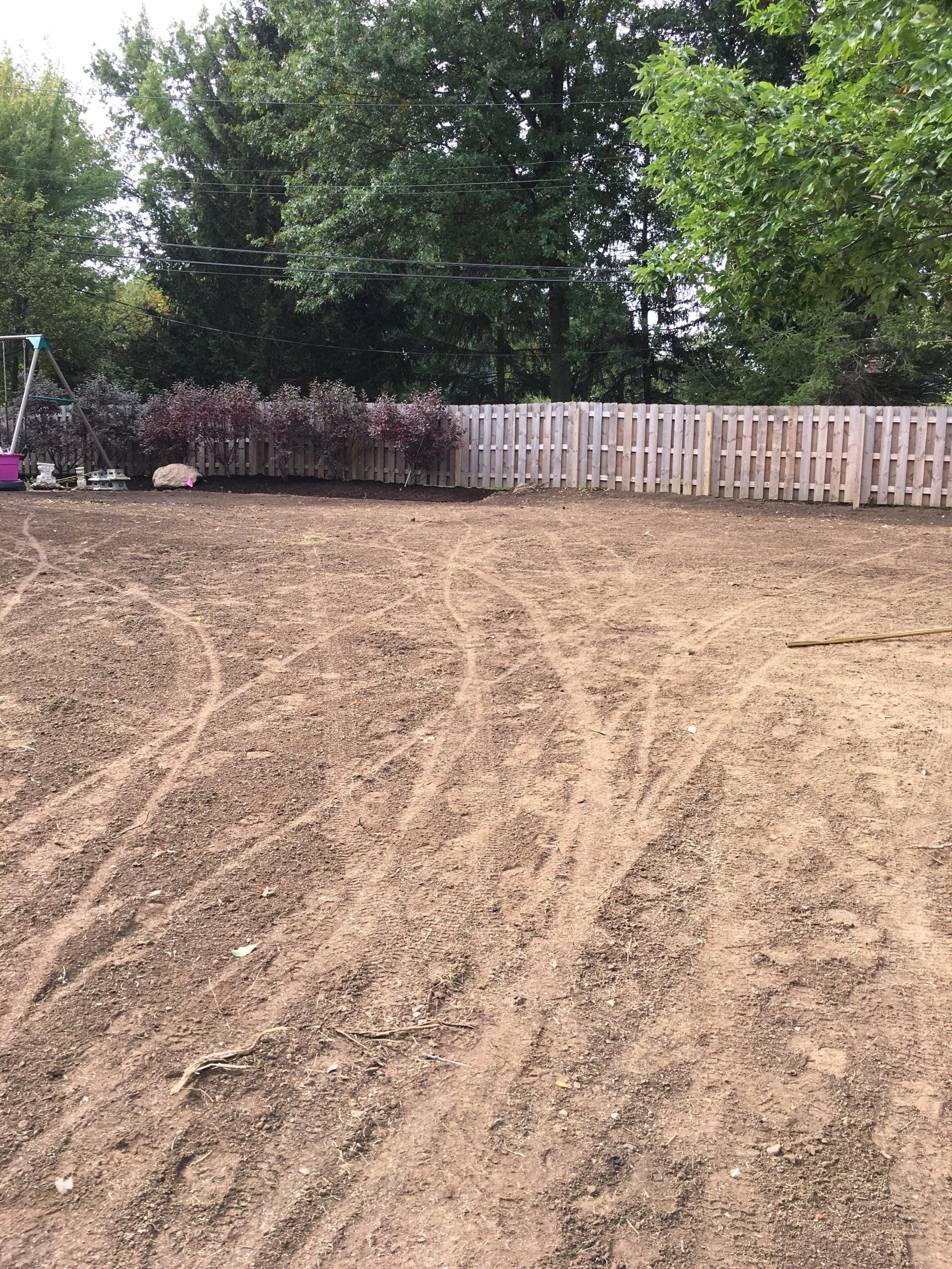 Dirt yard with tire tracks, white fence, bushes, and tall trees under a cloudy sky