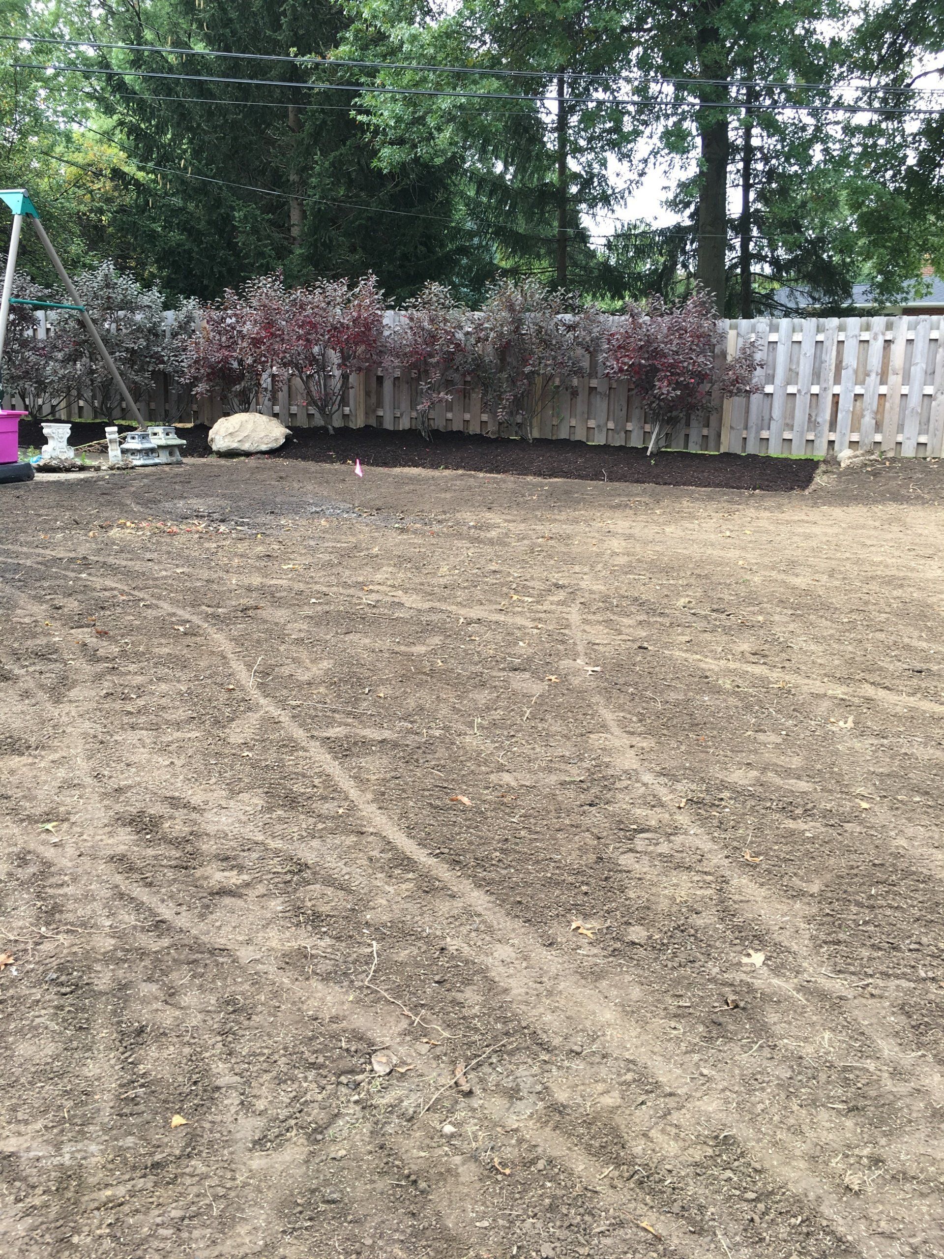Bare dirt yard with trees, shrubs, and a white fence in the background