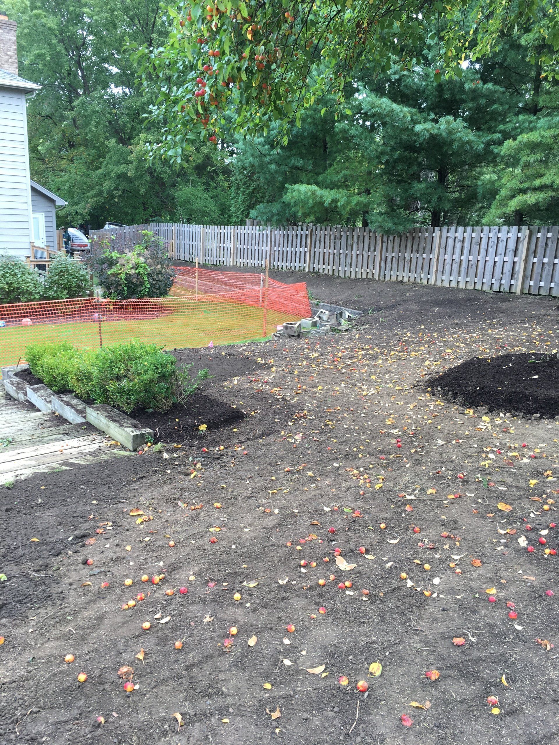 Bare garden bed with dark soil, small shrubs, and red flower petals beside a white fence and house.