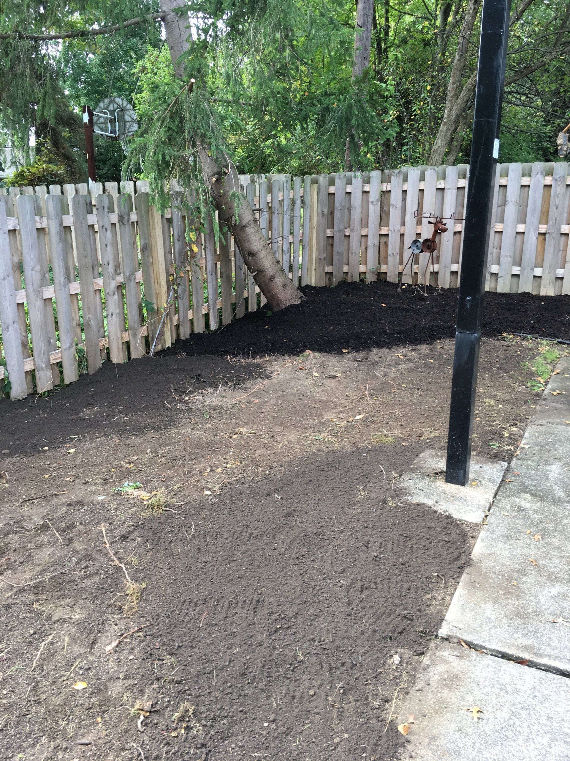 Backyard corner with fresh dark soil, white fence, trees, and a concrete patio edge