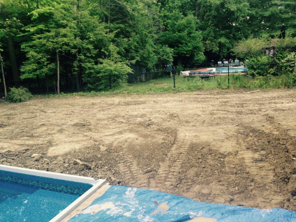 Empty dirt yard beside a blue pool, with dense green trees in the background