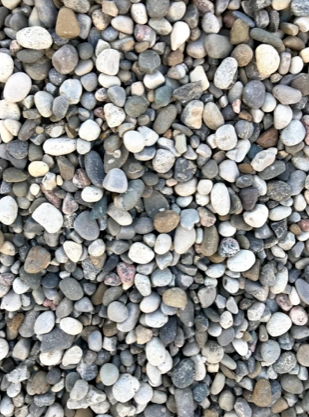 A close-up of small smooth gray and white pebbles covering the ground.