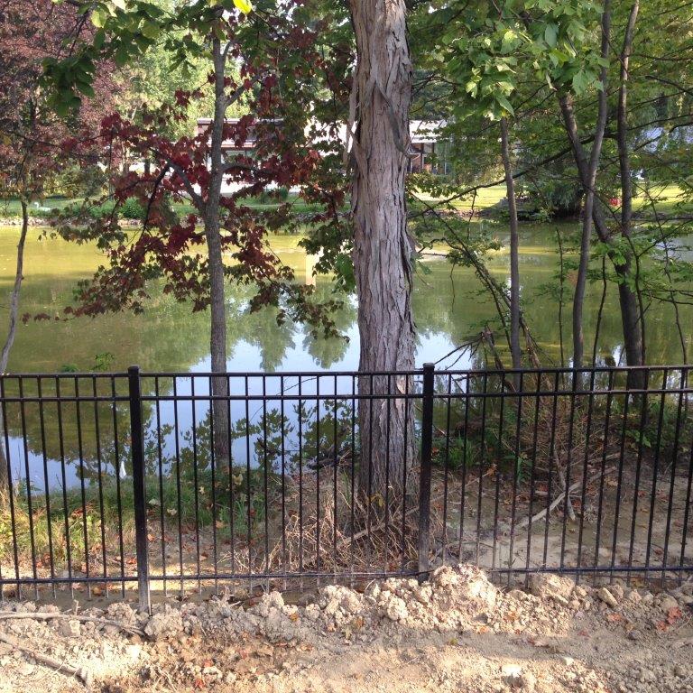 Black metal fence in front of a small pond with trees and green foliage reflected in the water.