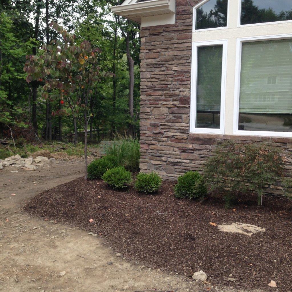Landscaped house corner with stone siding, white-trimmed windows, mulch bed, and dirt driveway.