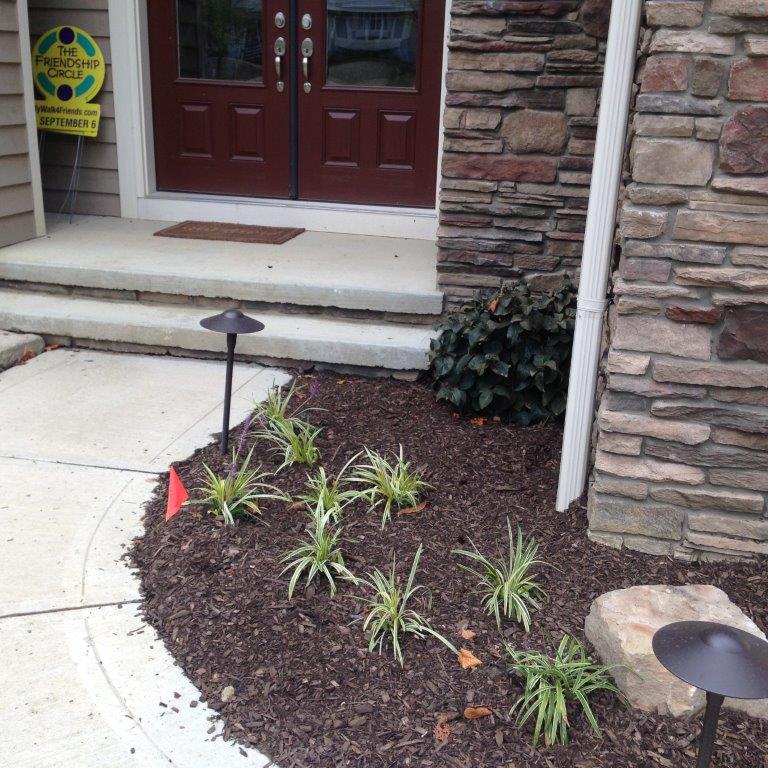 Small landscaped bed with young plants, mulch, and black pathway lights beside a stone house entrance.