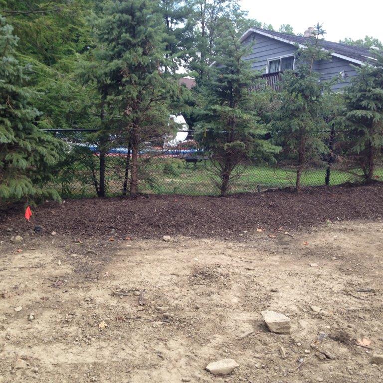Dirt lot bordered by trees and a house in the background, with a small red marker on the left.
