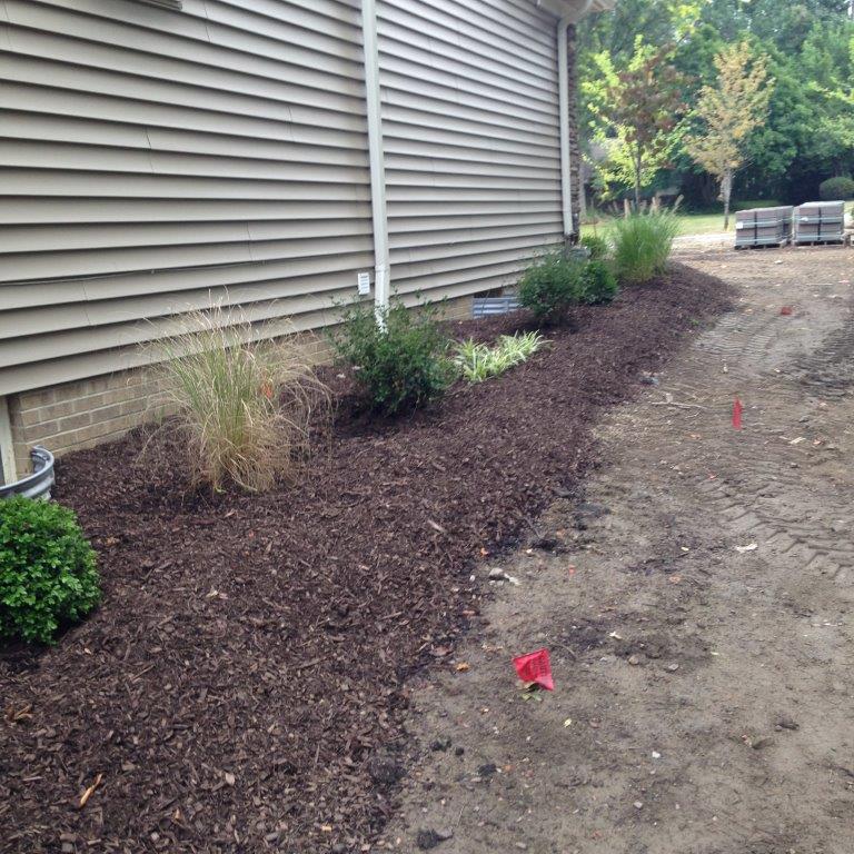Fresh mulch border along house siding with small shrubs and bare ground beside a walkway