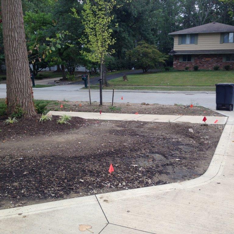 Front yard landscaping with a concrete sidewalk, soil bed, small tree, and red survey flags along the curb.