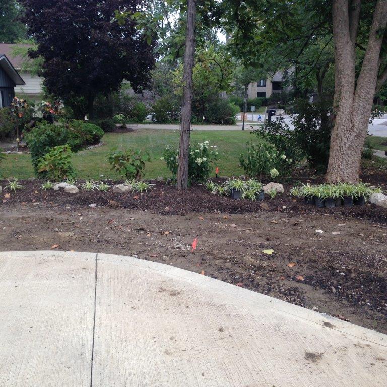 Front yard with trees, shrubs, and a concrete walkway, seen from the curb.