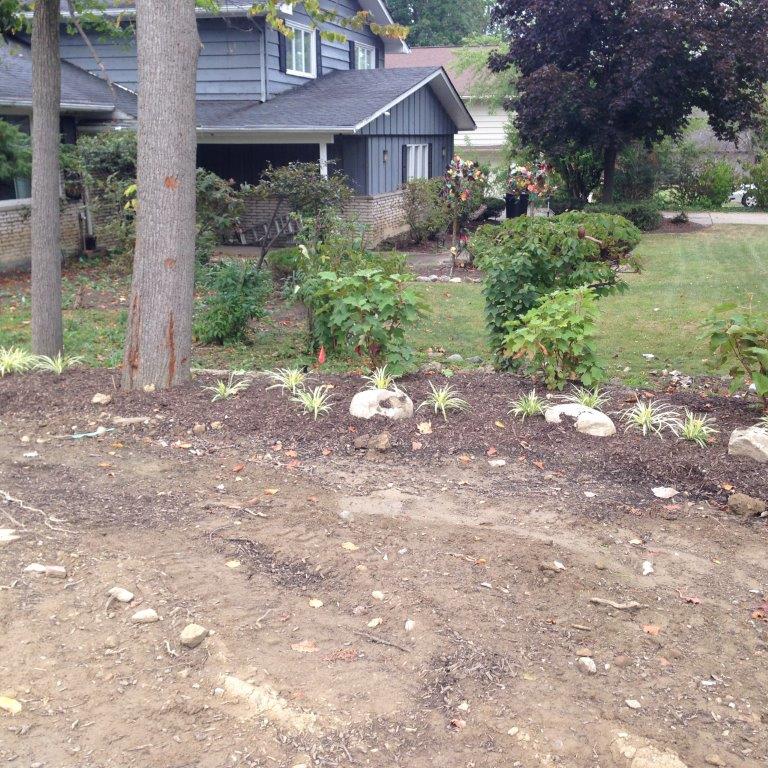 Front yard garden bed with small shrubs and white rocks beside a house and large tree trunk